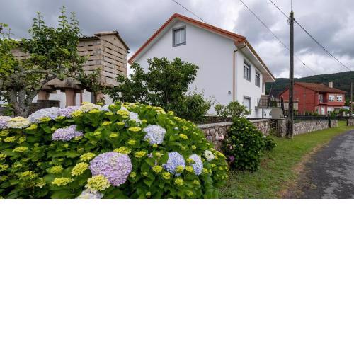 Apartment - 4 Bedrooms - 60274