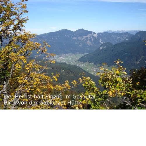 Apartment 14 Edelweiss Gosau