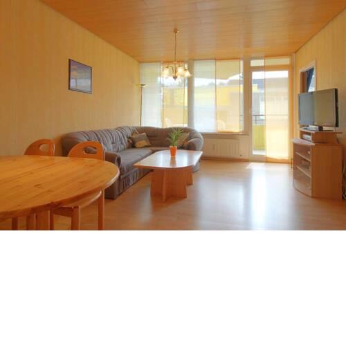 Apartment 217
