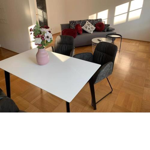 Apartment 4 Am Dom in Bautzen mit Netflix WLAN Kaffee Sauna