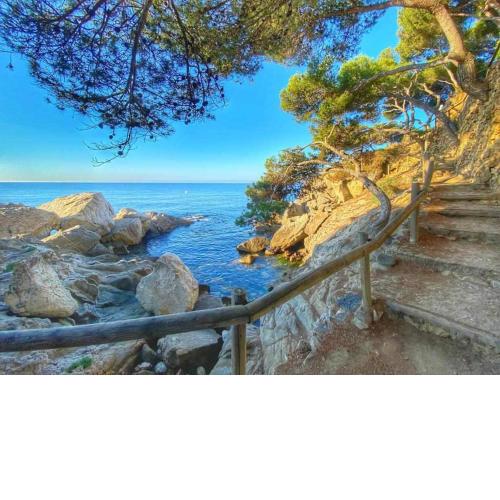 Apartment access direct to BeachPetfriendly by Rinconesmediterraneos