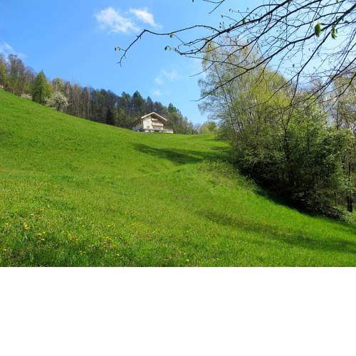 Apartment Achtalgut.2