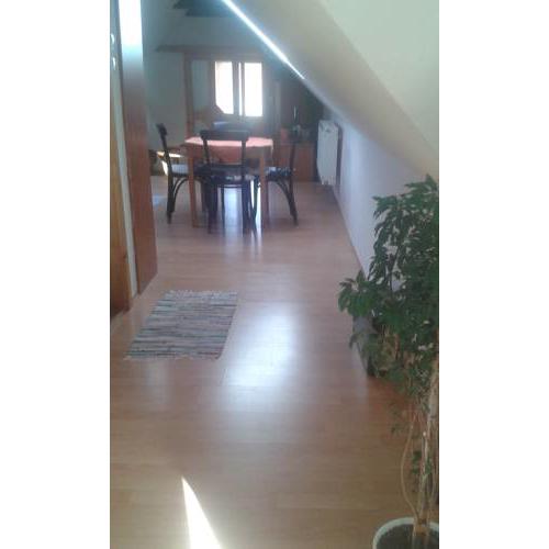 Apartment Adare