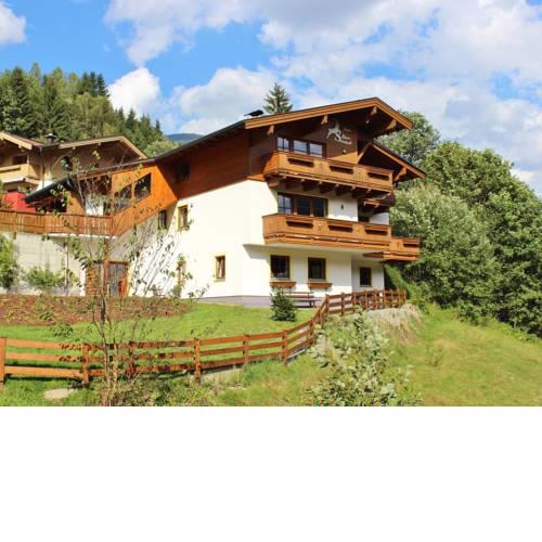 Apartment Alpensteinbock Saalbach A