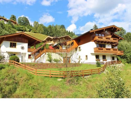 Apartment Alpensteinbock Saalbach B
