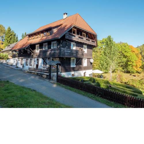 Quaint Apartment in Dachsberg near Feldberg Ski Area