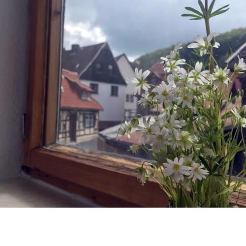 Apartment am alten Markt