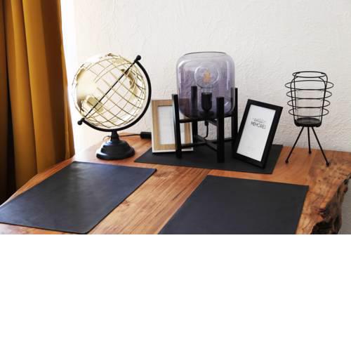 Apartment am Rhein