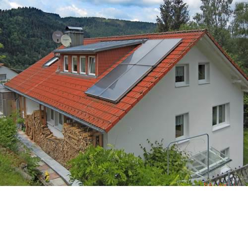 Gorgeous roofed apartment in Schiltach with pond and pool