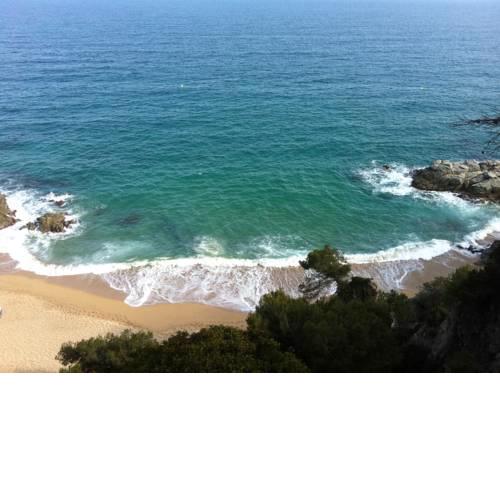 Apartment Antilles