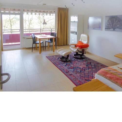 Apartment B510