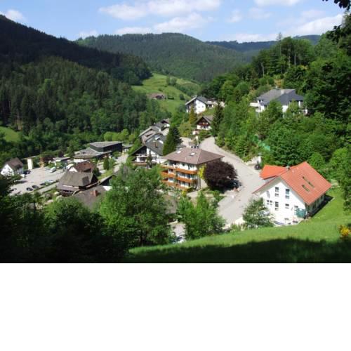 Lovely Apartment in Bad Rippoldsau valley with garden