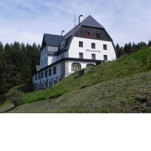 Apartment Bellevue - Benecko