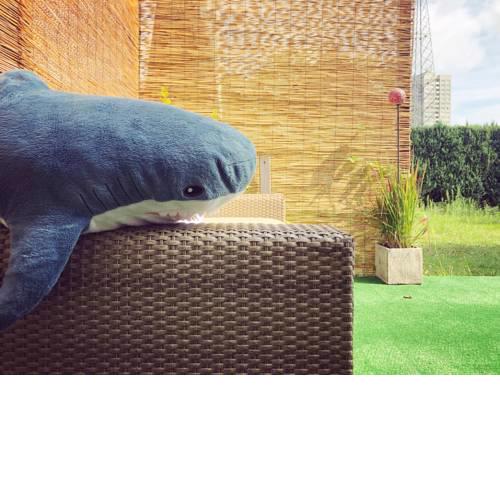Apartment Berlin | Garden, Terrace, Nature