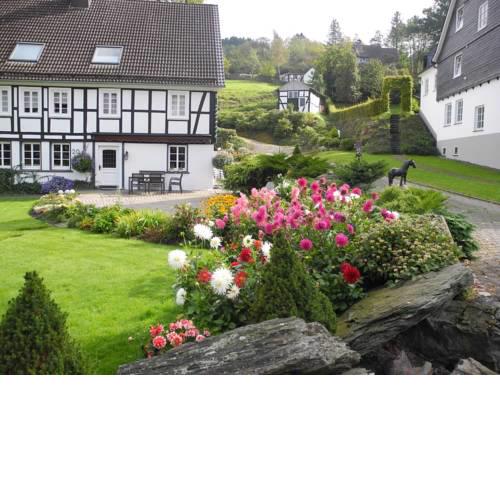 Spacious Holiday Home in Altenilpe with Open Fireplace