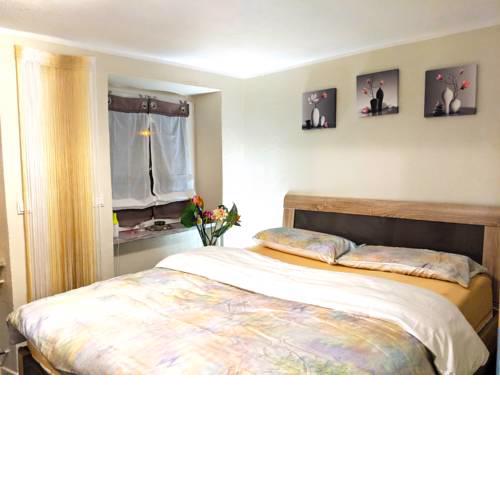 Apartment Bina in Trier