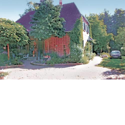 Apartment Birkenallee X