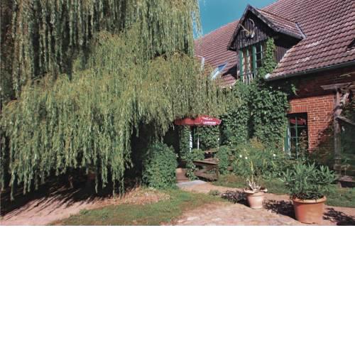Apartment Birkenallee Z