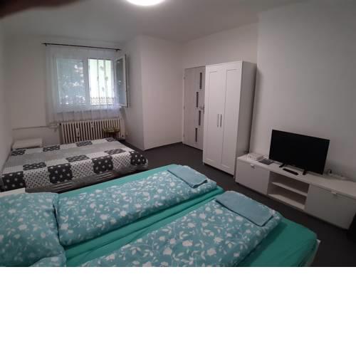 Apartment Bratislava, centre (Trnavské mýto)