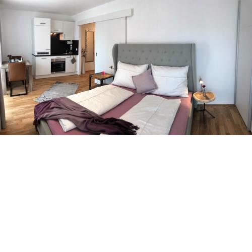 Apartment Brauquartier