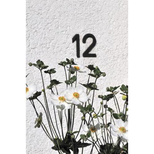 Apartment Bredeney B12