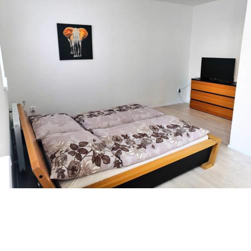 Apartment Brno-střed