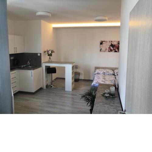 Apartment Brno