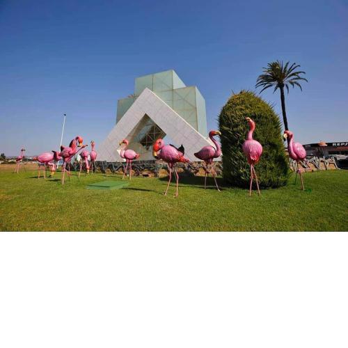 Apartment Center Torrevieja, 650m Marina, Alicante