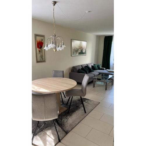 Apartment centrally located in the Rhine-Main area