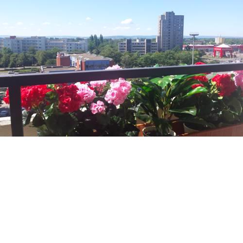 Apartment City Laatzen