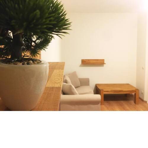 Apartment Clara