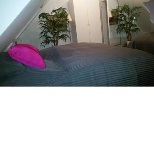 Apartment Ddorf-Nord