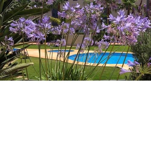 Apartment De Jardines