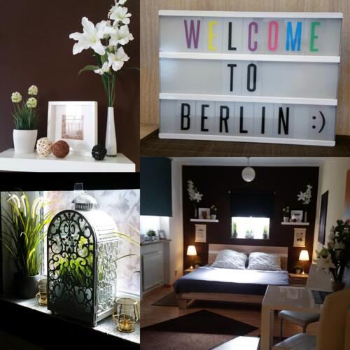 Apartment direkt am Park