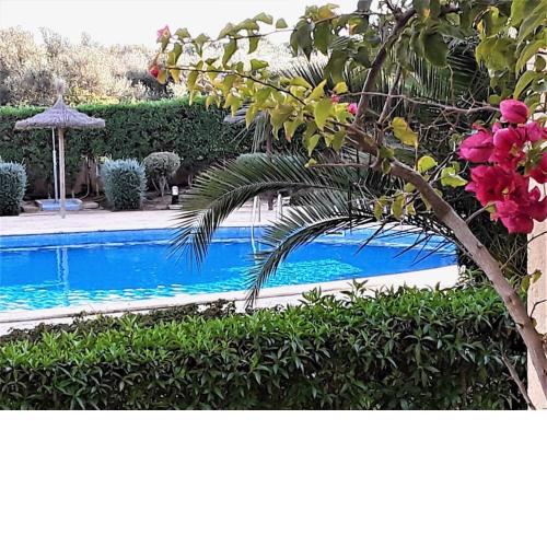 Apartment En Capillo