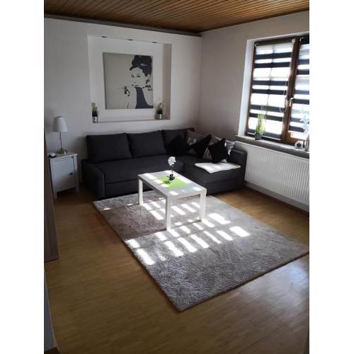 Apartment Ferienwohnung Emmerthal auch für Monteure FeWo