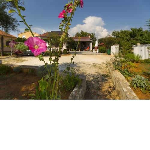 Apartment Flower near Medulin