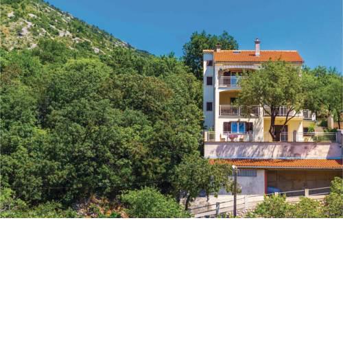 Apartment Franje Rackoga VI