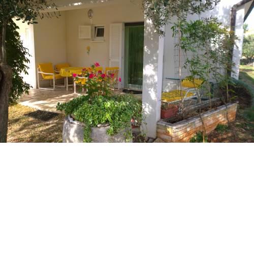 Apartment Free Parking Big Garden