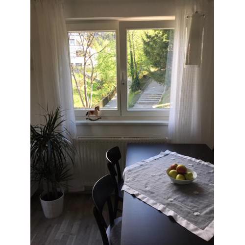 Apartment Gisi