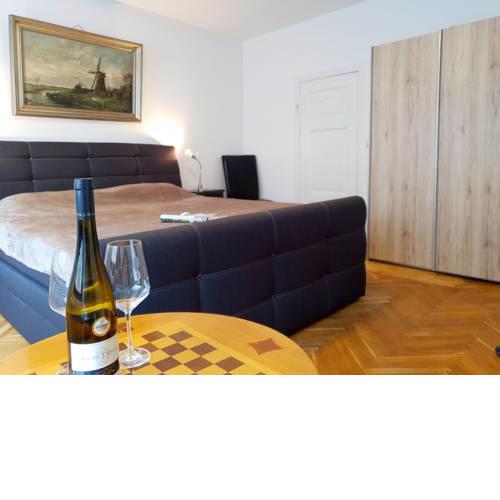 Apartment Goethe 8