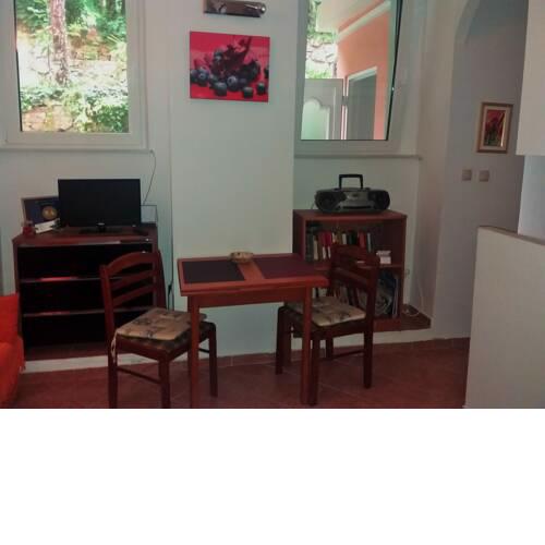 Apartment Hana