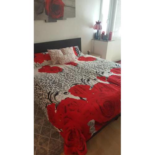 Apartment Hanser-Rosenzimmer