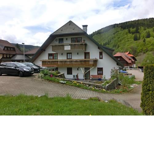 Lovely Apartment near Ski Area Feldberg