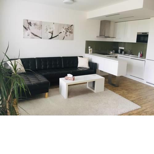Apartment Husova