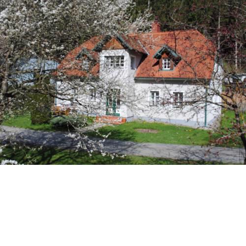 Apartment im Drahtzughaus, Dachgeschoss