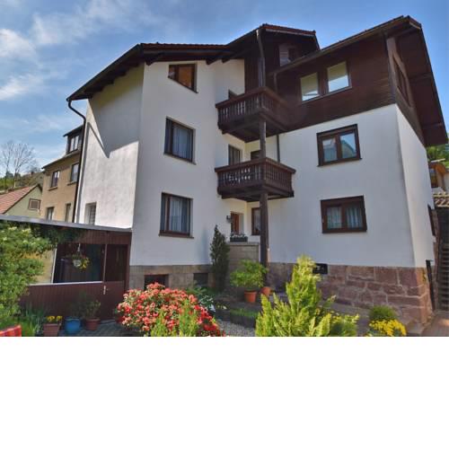 Modern Apartment in Steinbach-Hallenberg with Private Garden