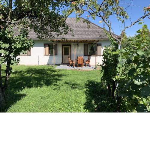 Apartment im Weingarten
