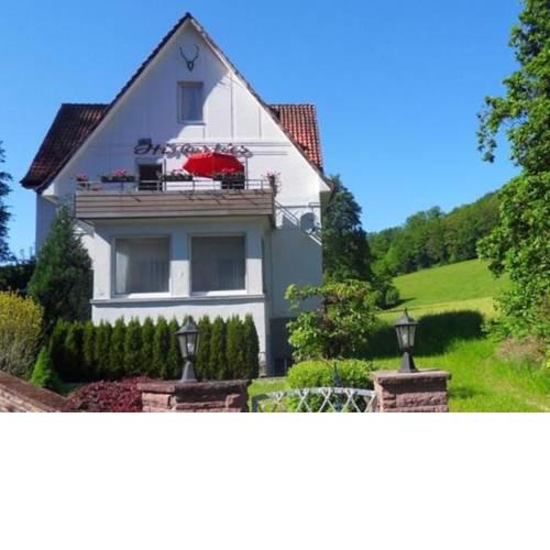 Large Apartment in Bad Pyrmont Lower Saxony with Garden