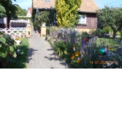 Apartment in Dankerode - Harz 40750